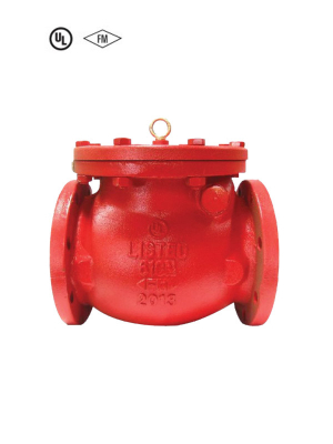 Non Return Valve