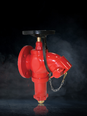 Pressure Reducing Valve (Flanged)